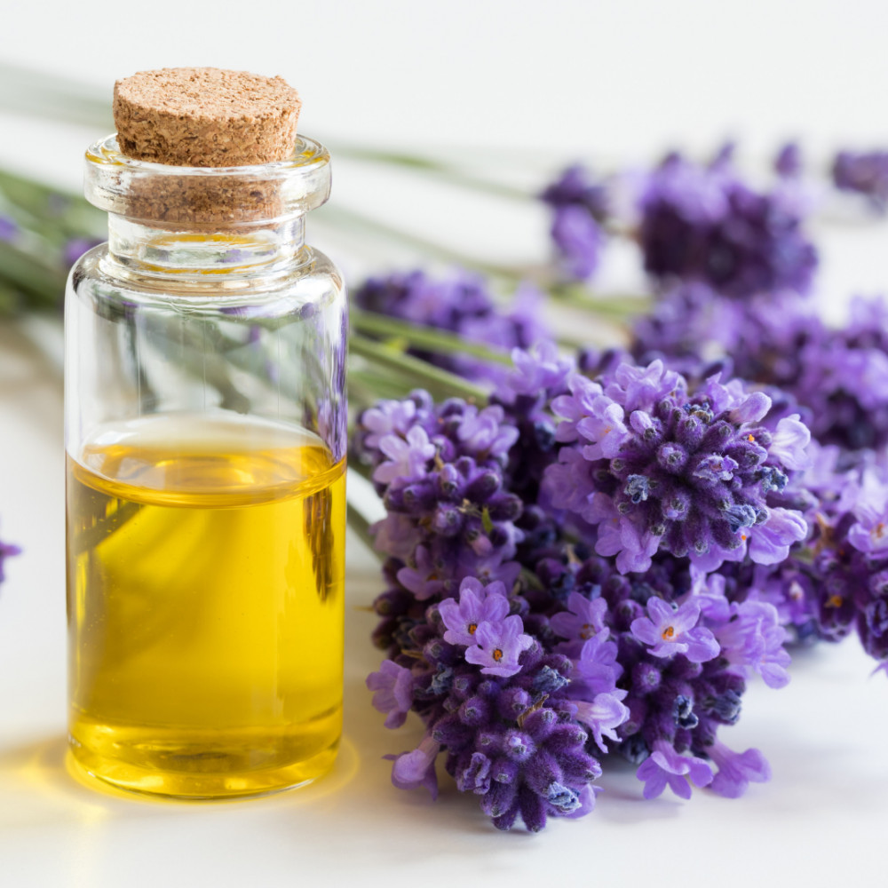 Lavender Essential Oils For Panic Attacks