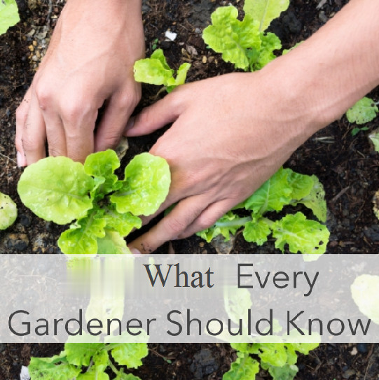 What You Should Know As A Gardener