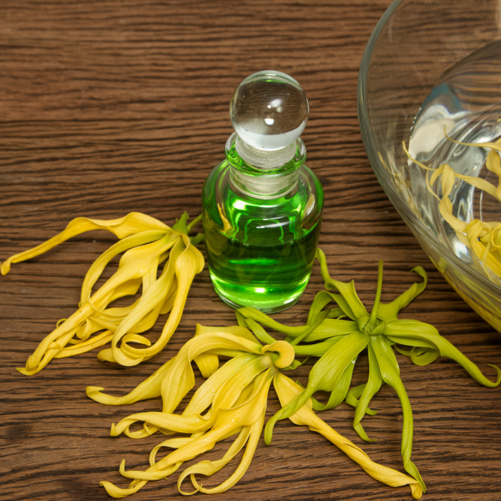 Ylang-Ylang Essential Oils For Panic Attacks