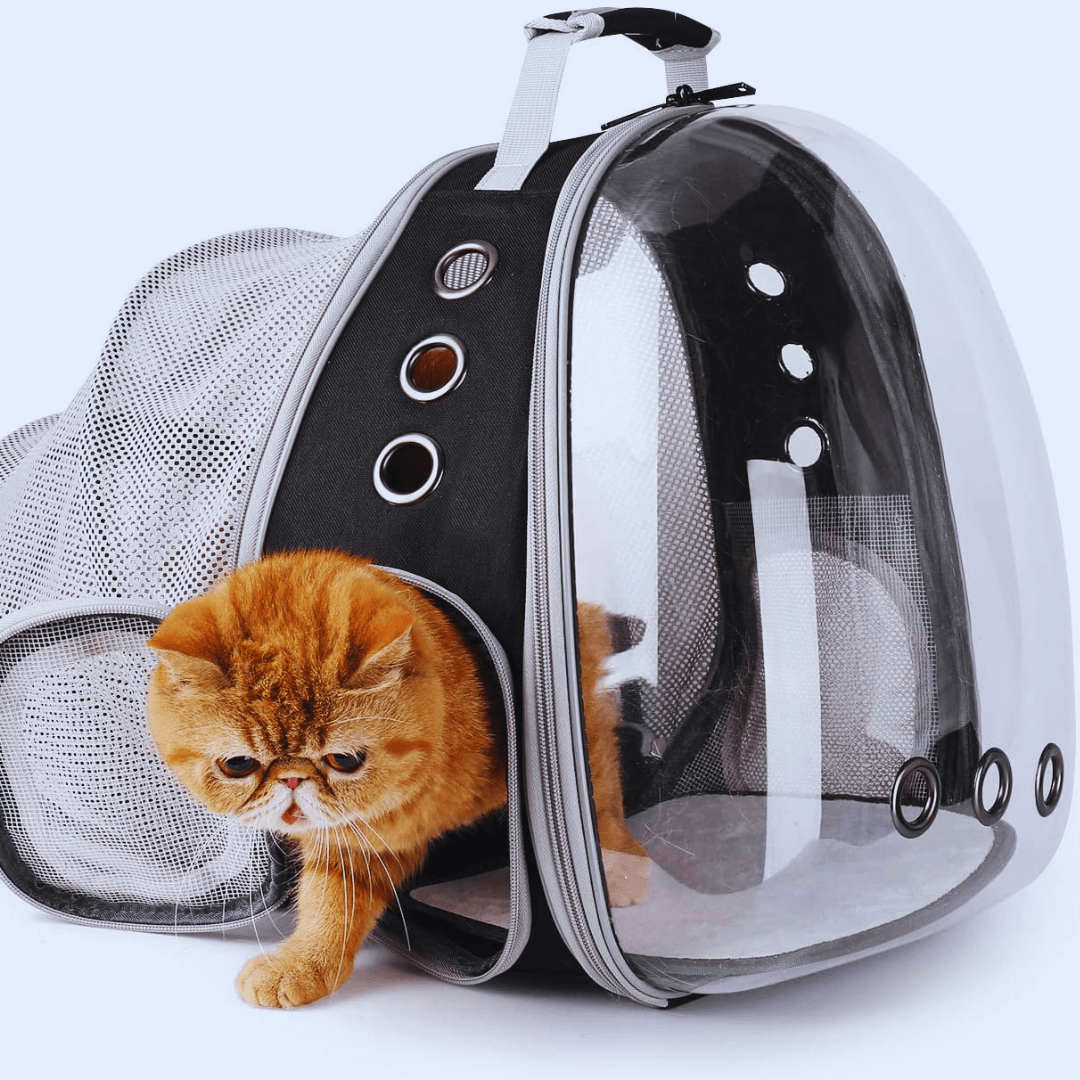 Lollimeow Cat Carrier Backpack