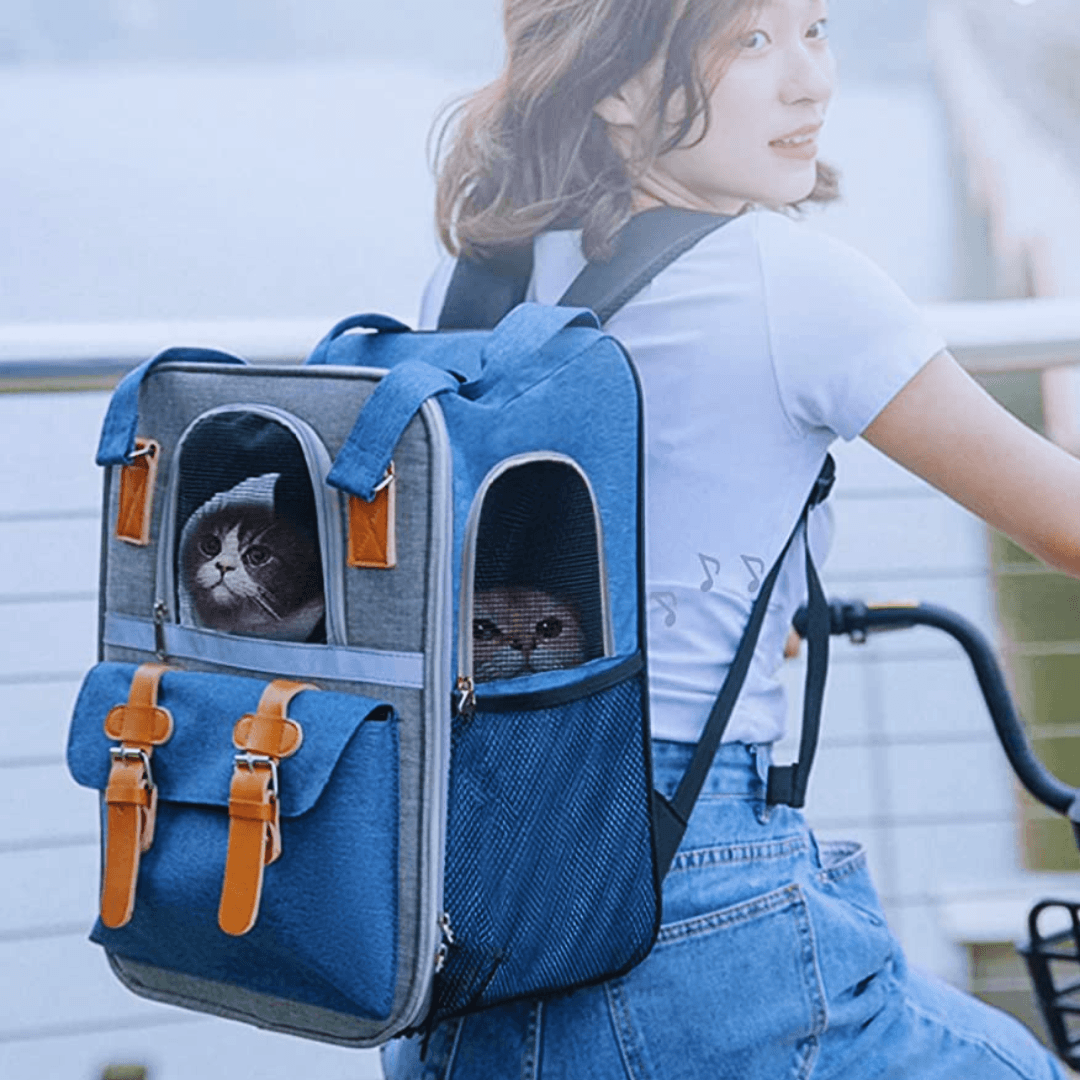PETRIP Cat Bubble Backpack