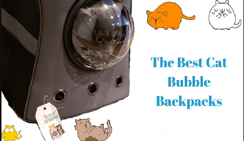 Best Cat Bubble Backpacks