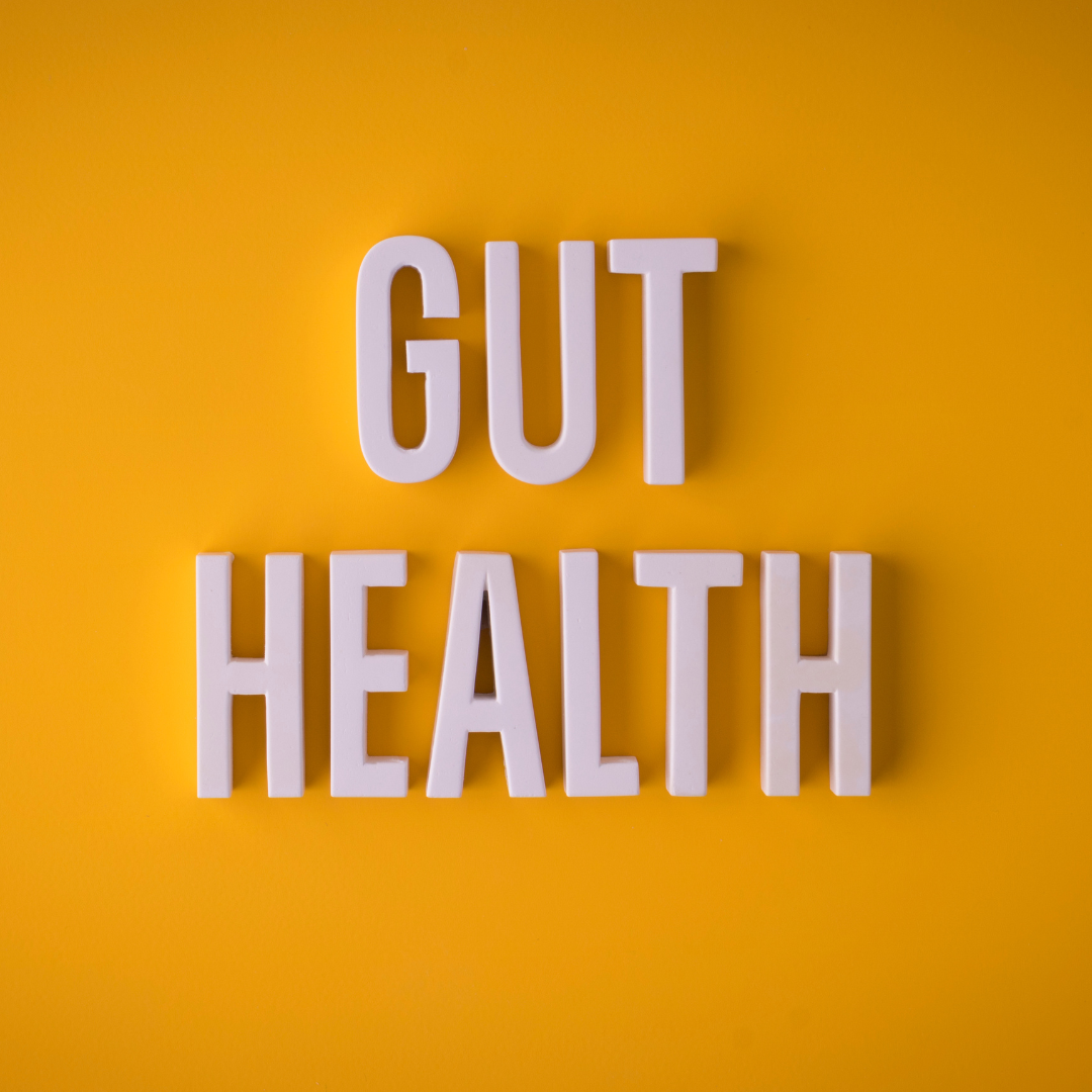 Understanding The Importance Of Gut Health