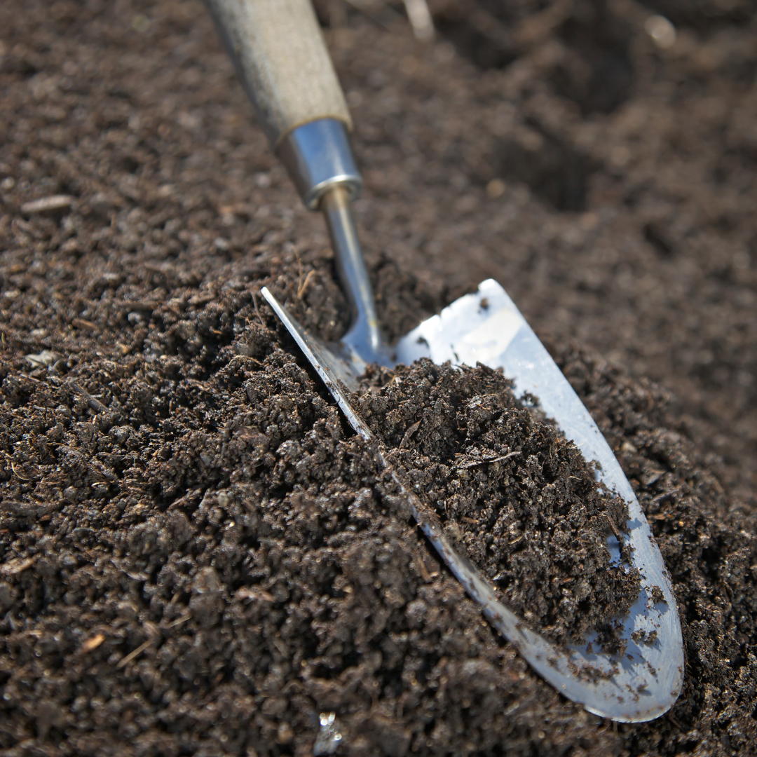 Hand Trowel