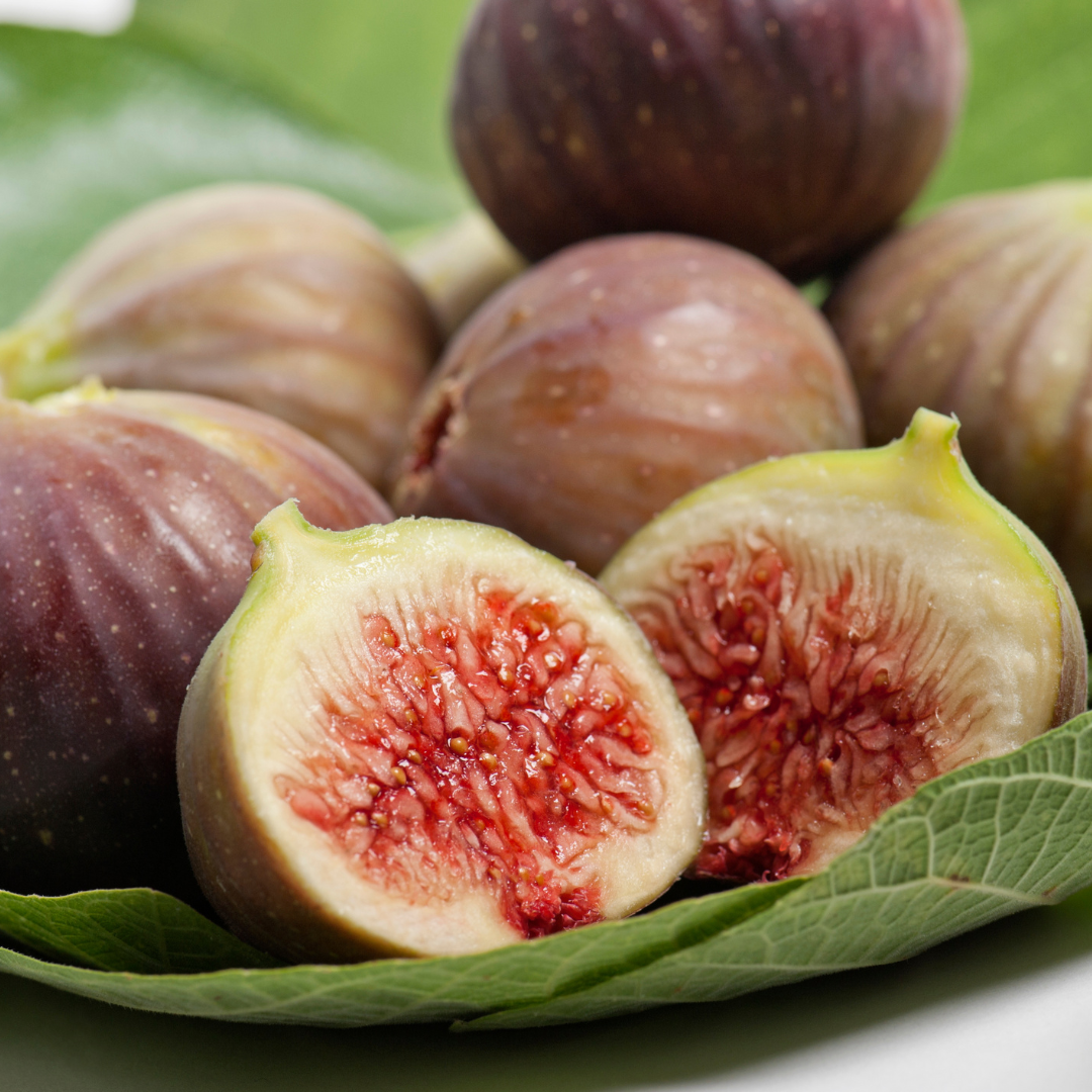 Experiment With Figs