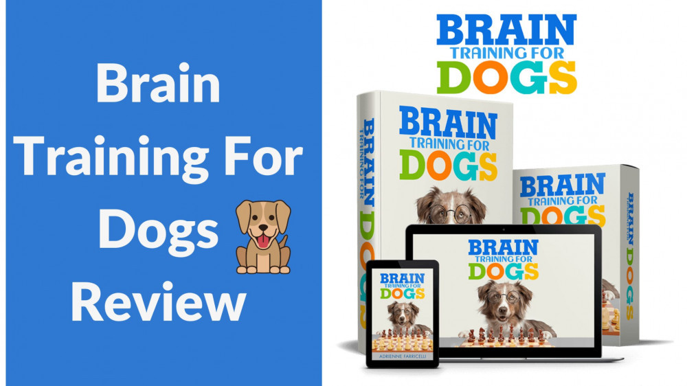 Brain Training For Dogs Review