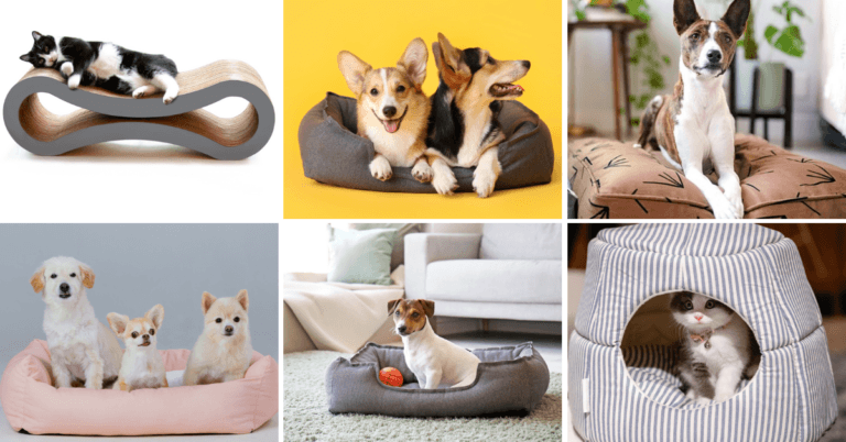 Best Eco-Friendly Dog And Cat Beds