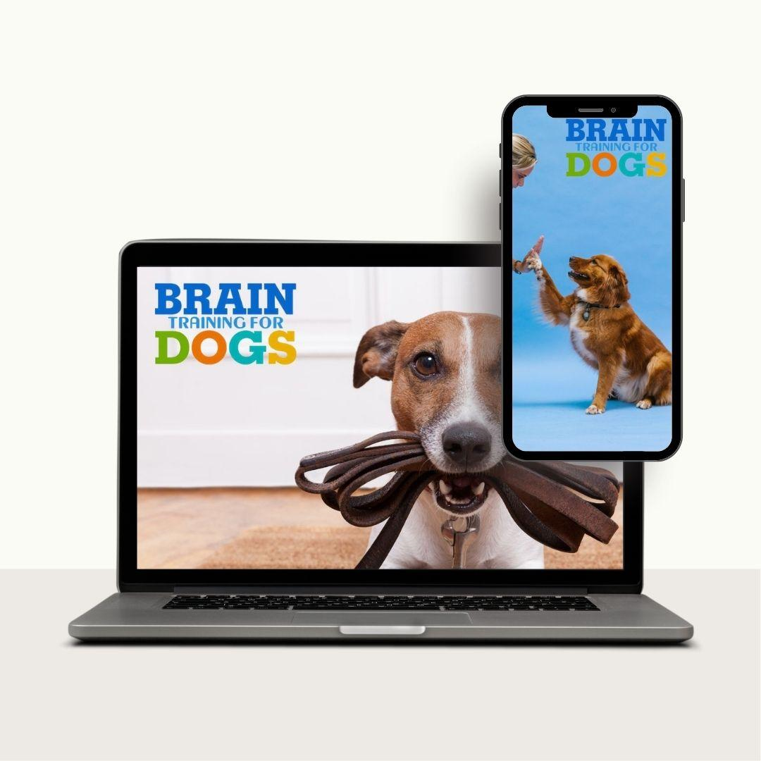 What Is Brain Training Of Dogs