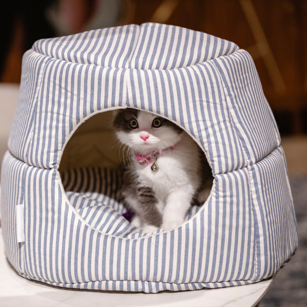 Sustainably Yours Eco-Friendly Cat Bed