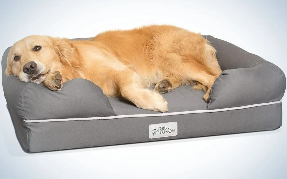 Best Dog And Cat Beds In 2023 | Close To Nature