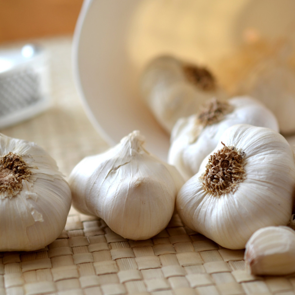 Curing Garlic