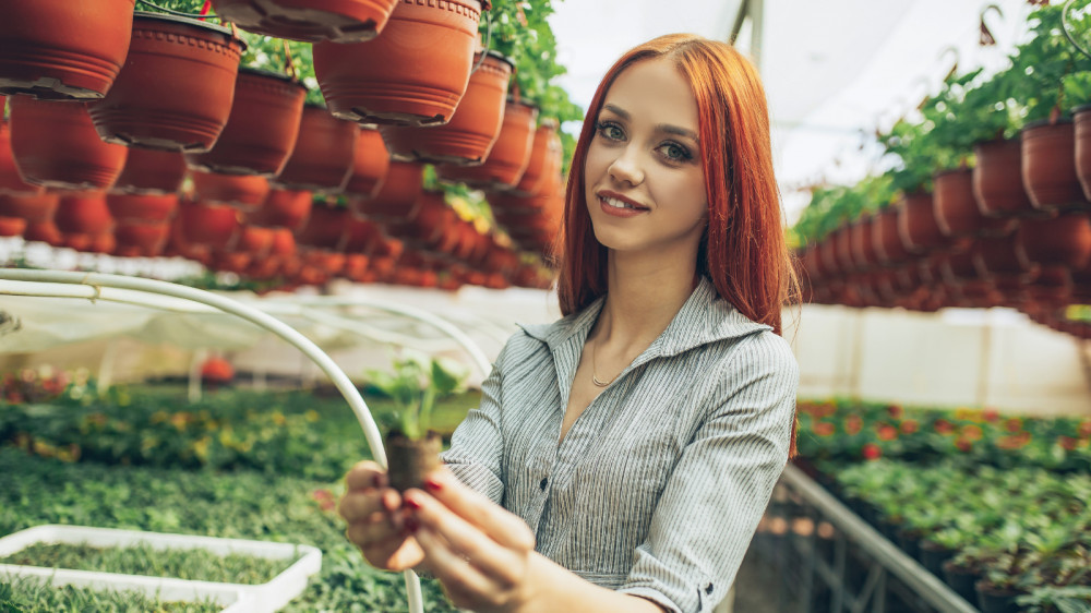 How To Start A Gardening Business