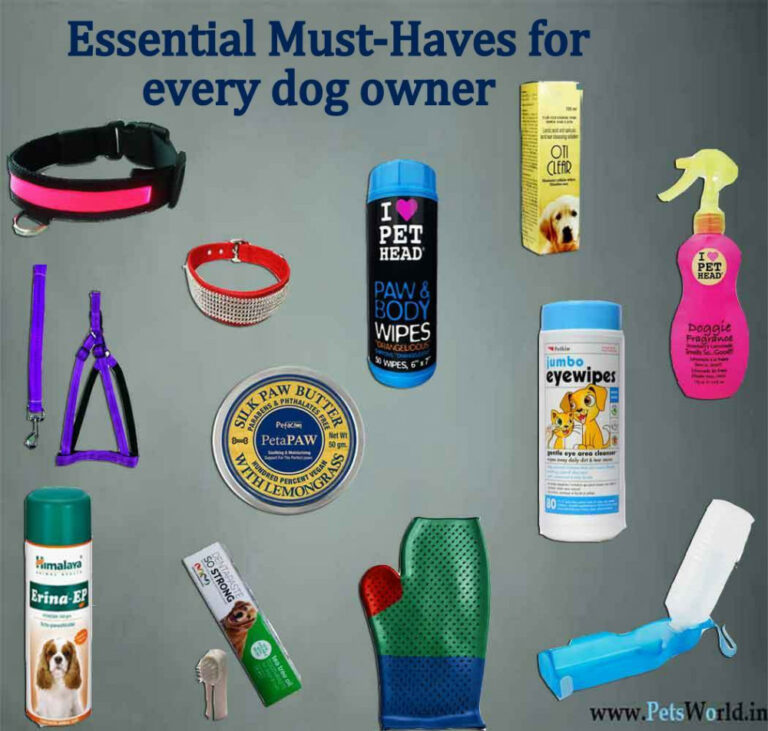 Must-Have Products For Dog Owners