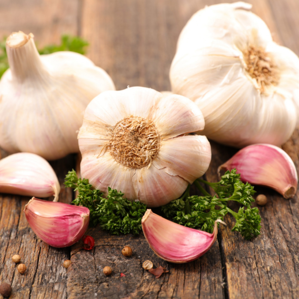 Varieties Of Garlic