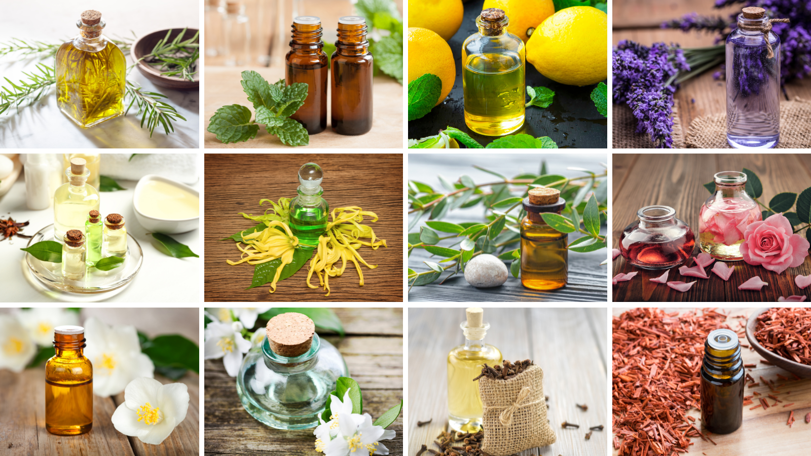 15 Best Essential Oils For Natural Healing