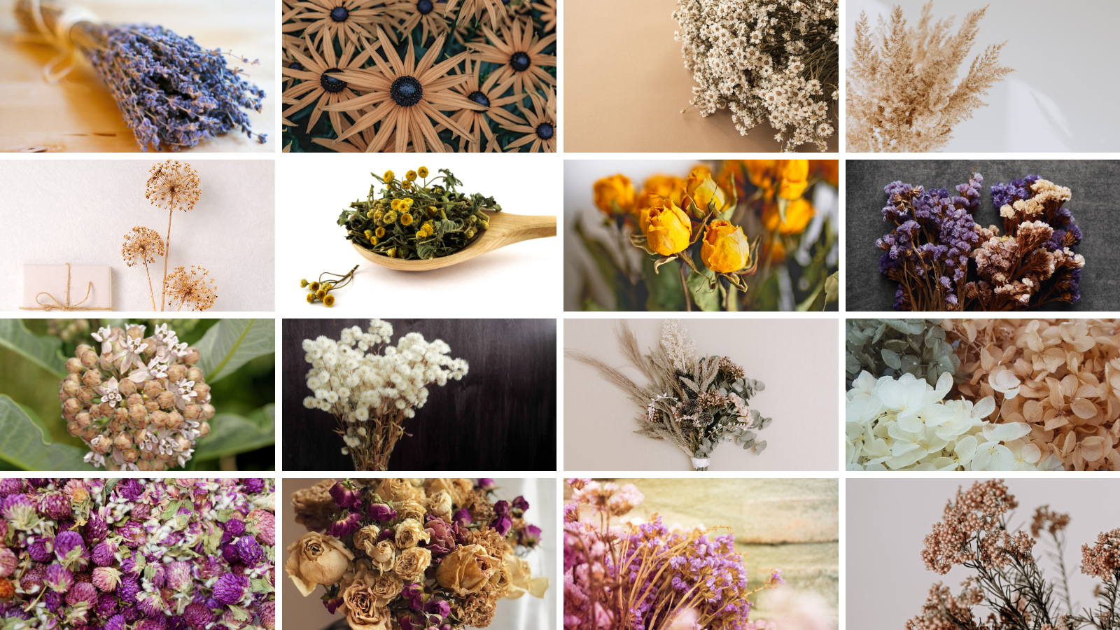21 Most Popular Dried Flowers To Store
