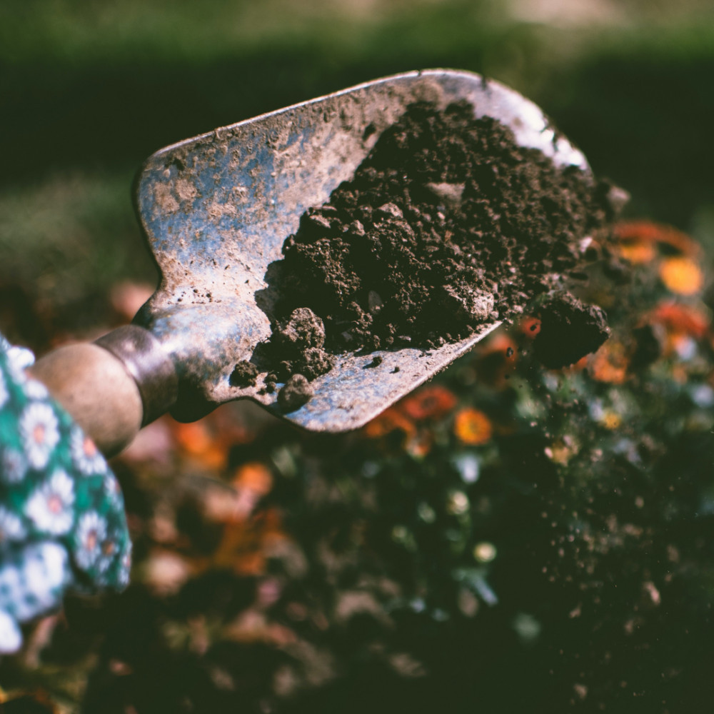 Soil To Grow Turmeric In Containers