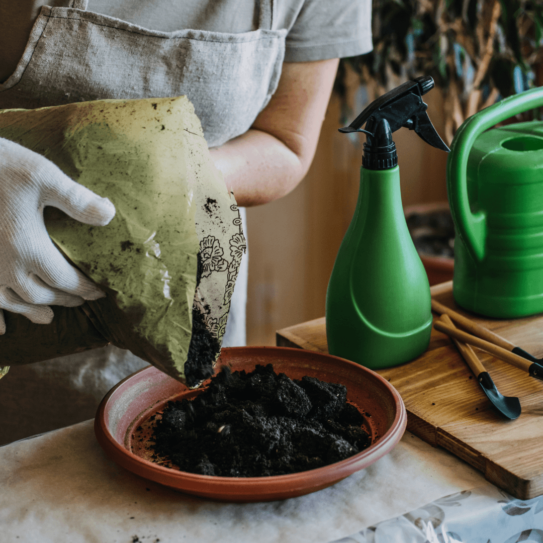 Soil To Grow Camellia In Containers