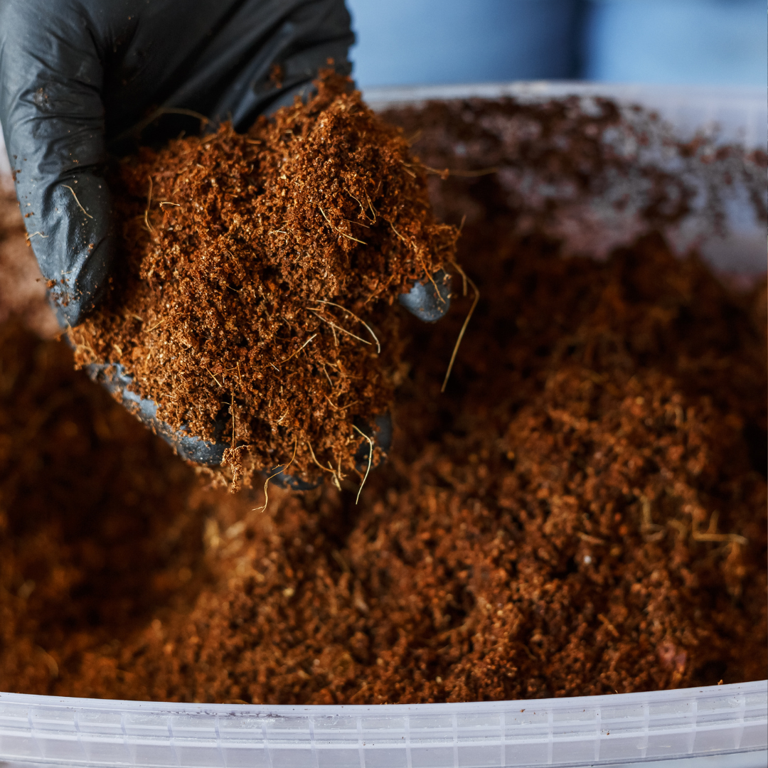 Soil To Grow Valerian In Containers