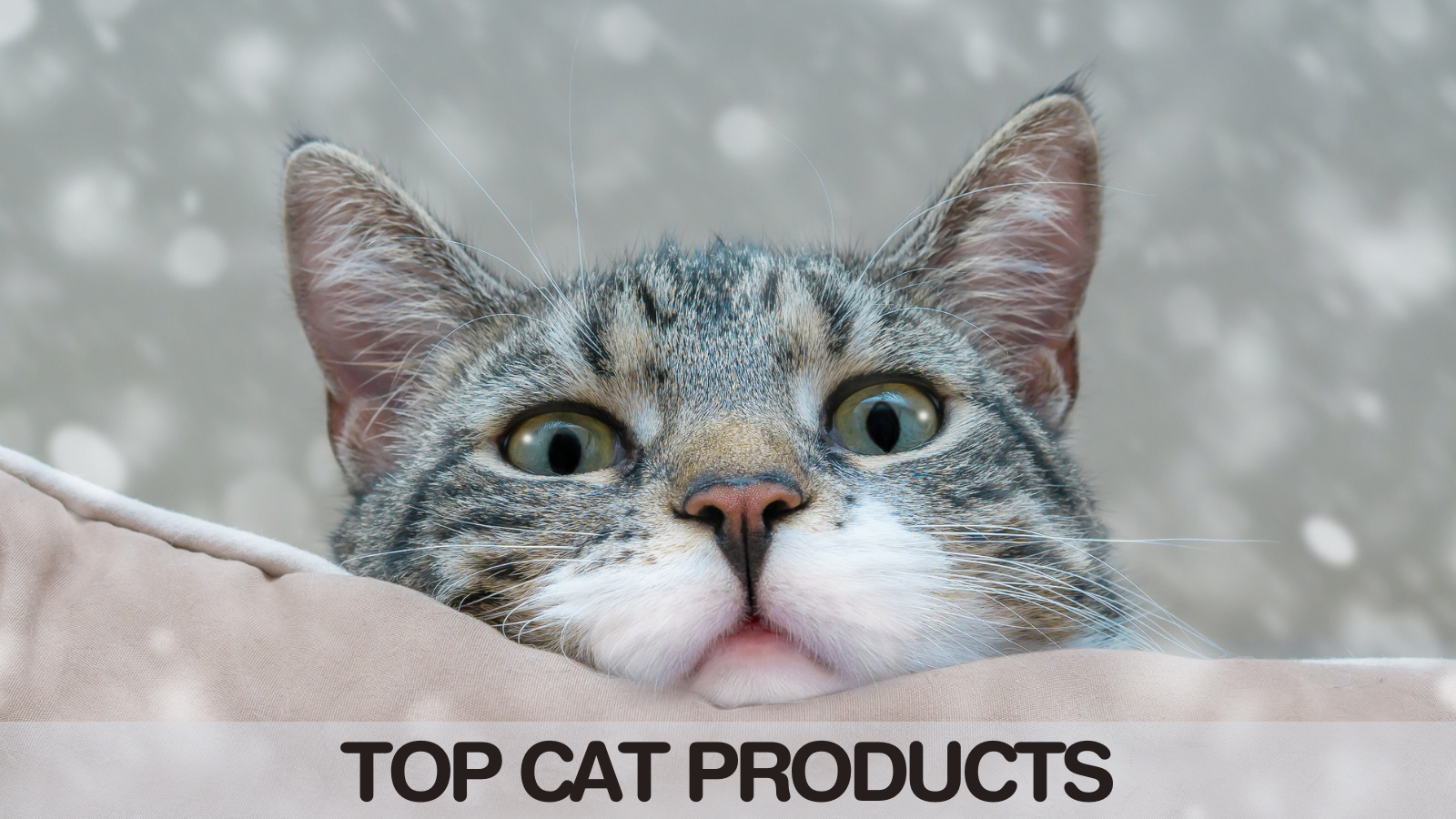 Top Cat Products