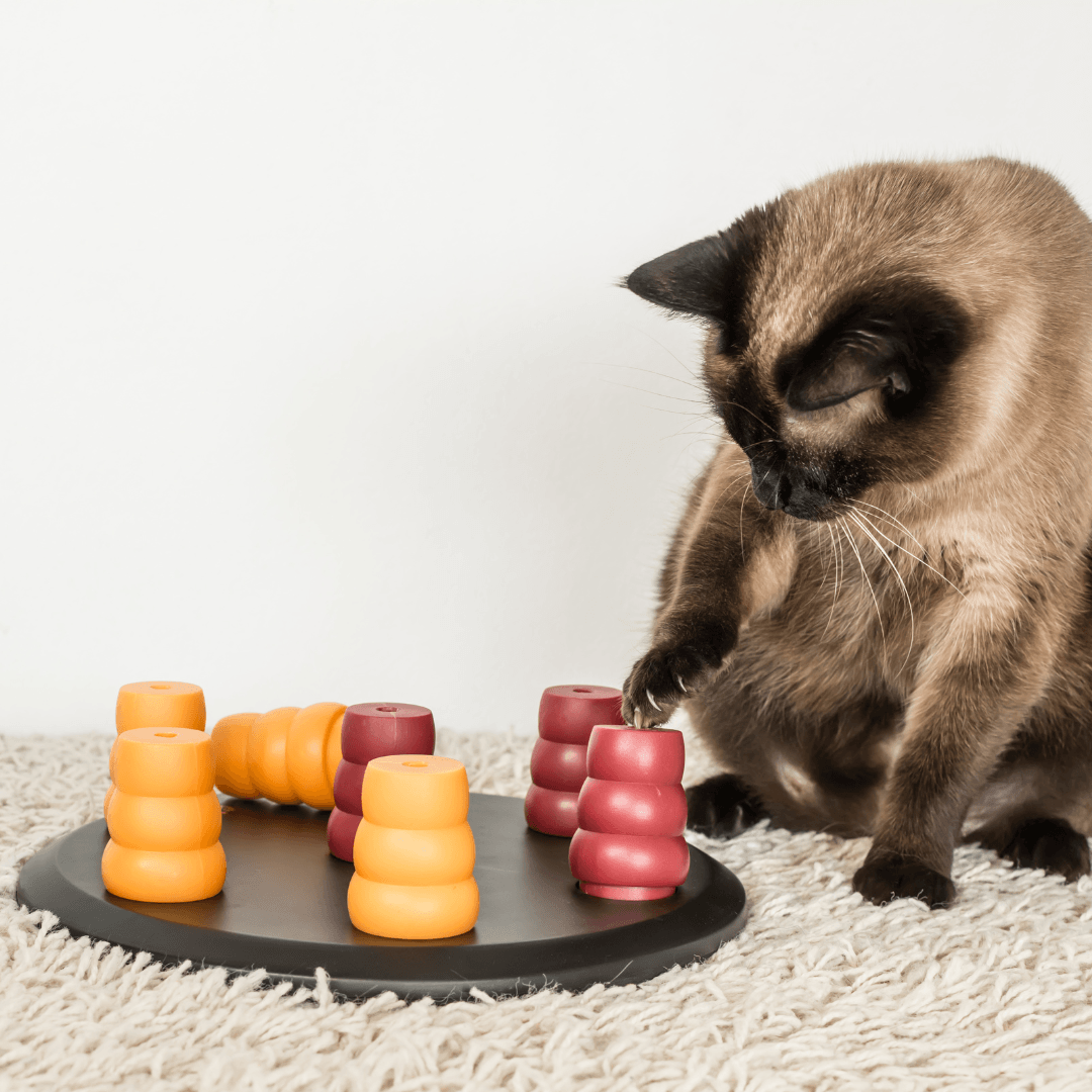 Cat Puzzle Toys