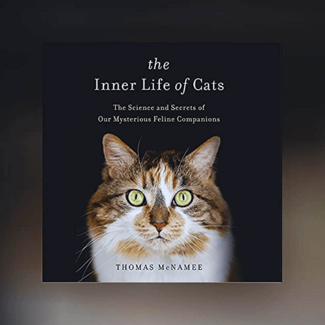 The Inner Life Of Cats: The Science And Secrets Of Our Mysterious Feline Companions By Thomas Mcnamee