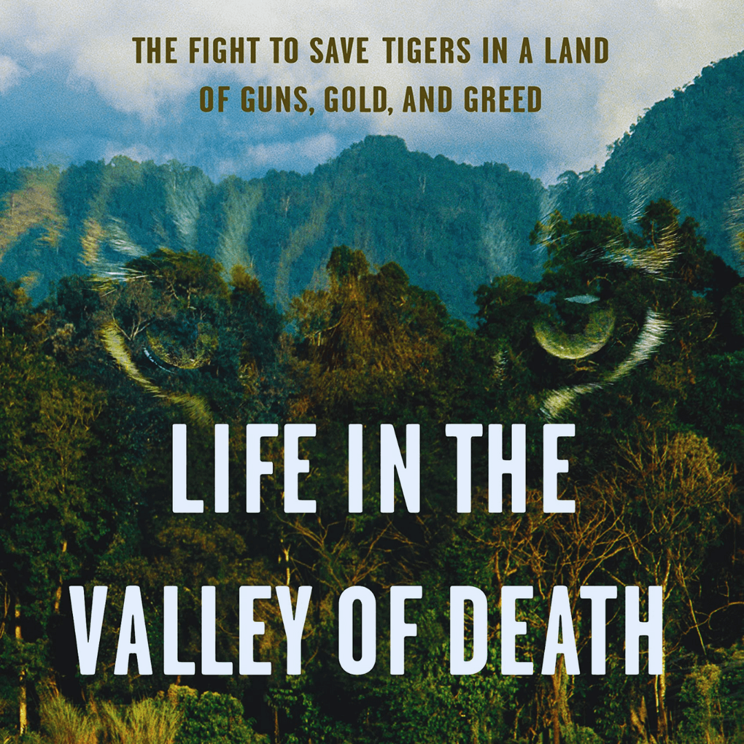 Life In The Valley Of Death: The Fight To Save Tigers In A Land Of Guns, Gold, And Greed By Alan Rabinowitz