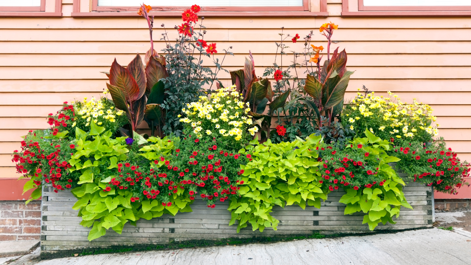 Best Fall Planter Ideas For Your Garden
