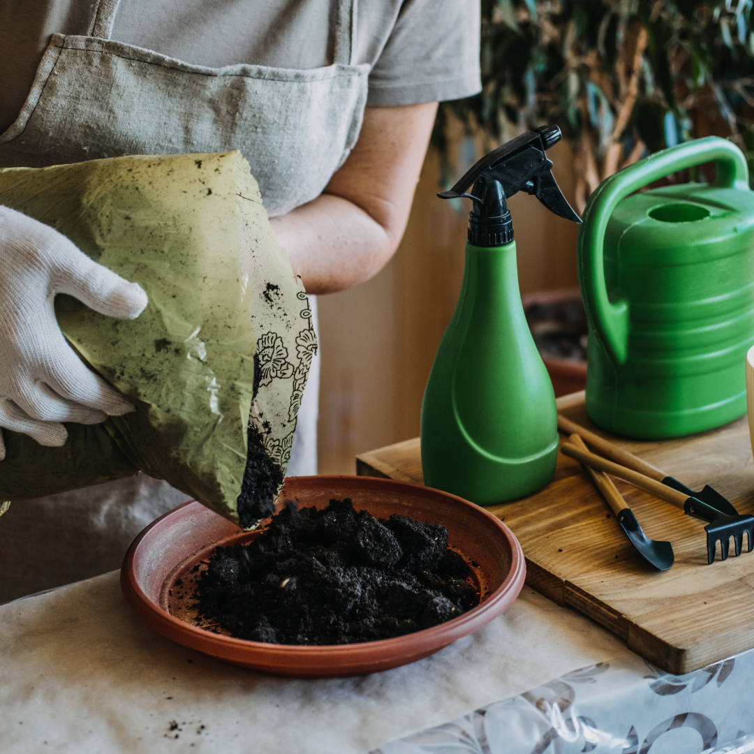 Soil To Grow Cyclamens In Containers