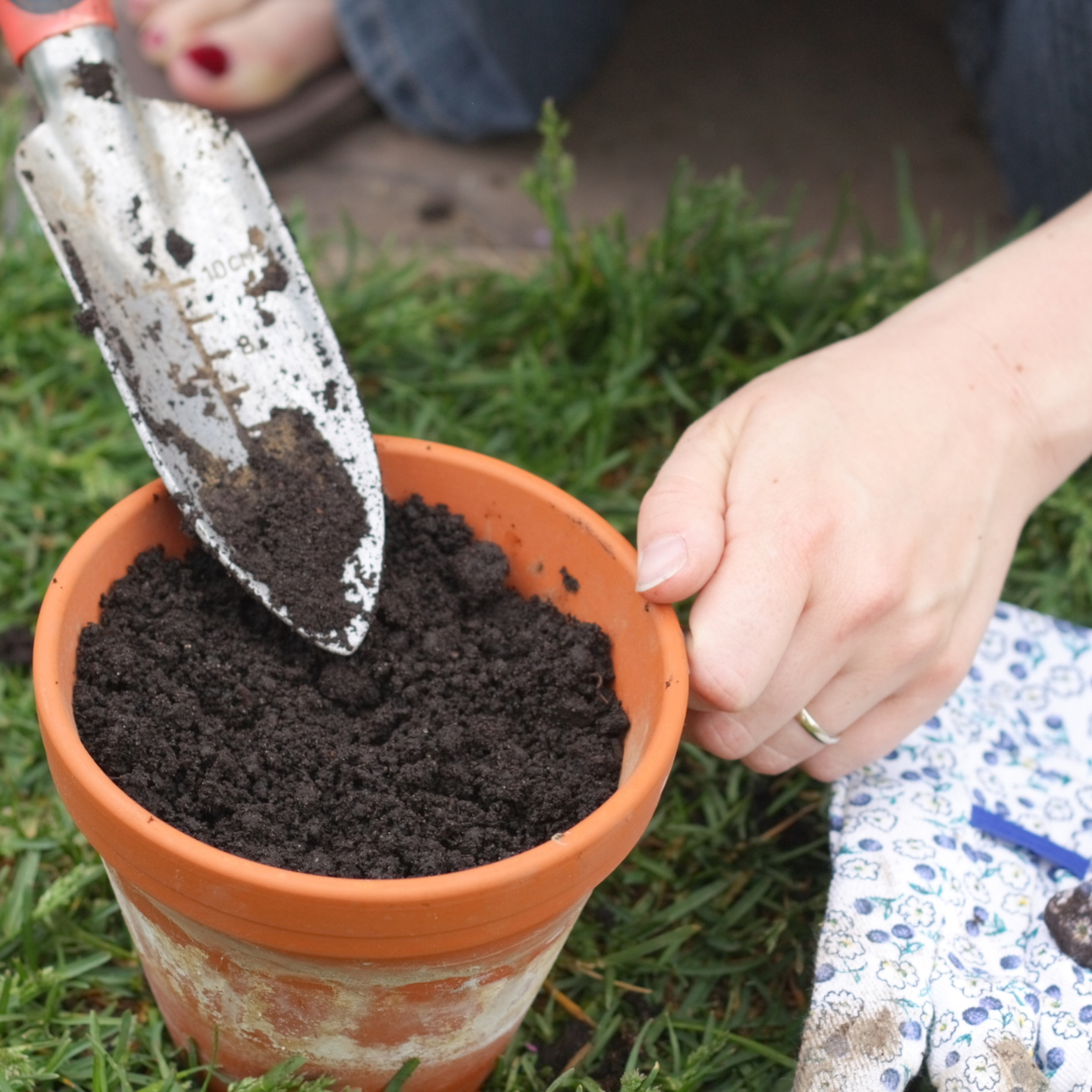 Soil Requirements