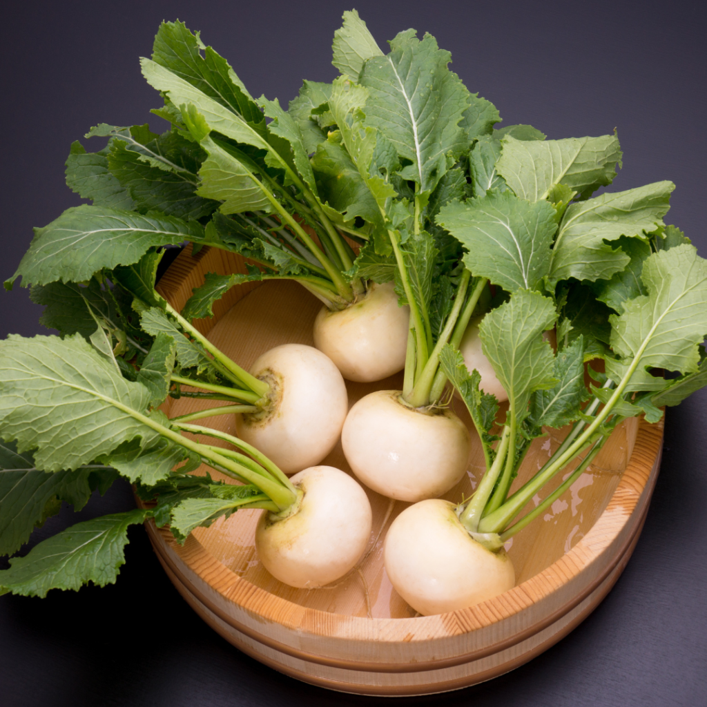 Best Steps To Grow Turnips In Containers In 2024