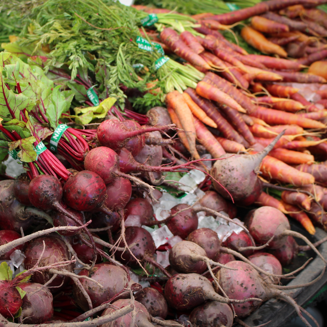 Conclusion To The Best Healthy Root Vegetables For Gardening