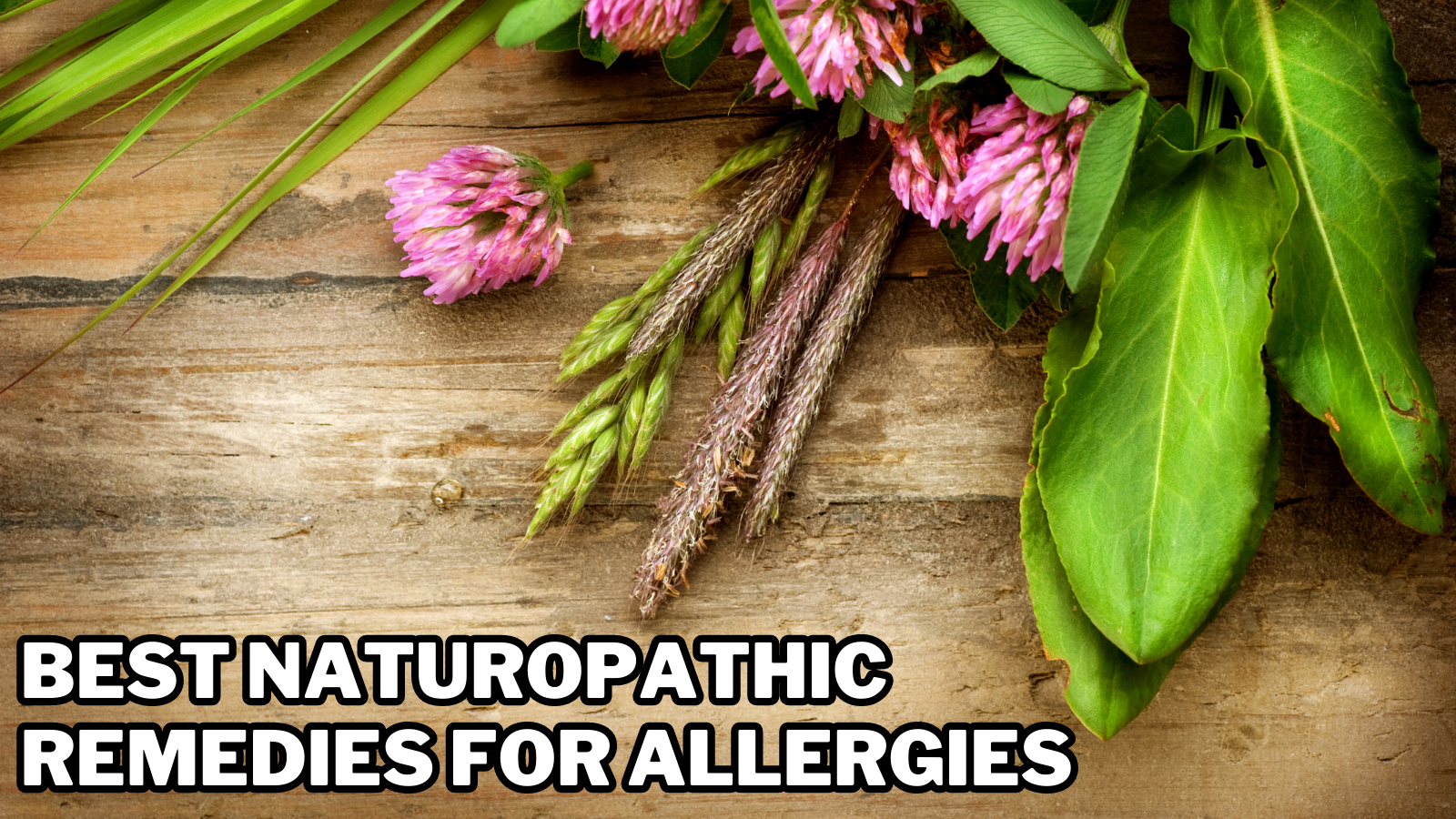 Best Naturopathic Remedies For Allergies