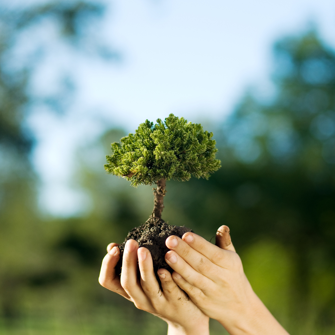 Environmental And Ethical Considerations