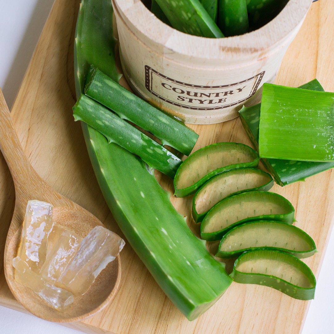 Aloe Vera (Aloe barbadensis)