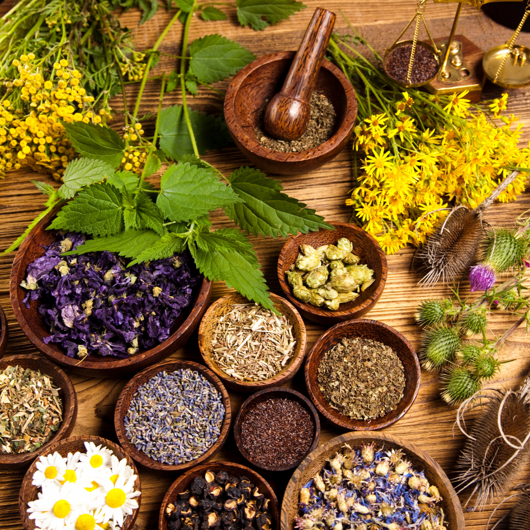 Exploring The Benefits Of Herbal Remedies