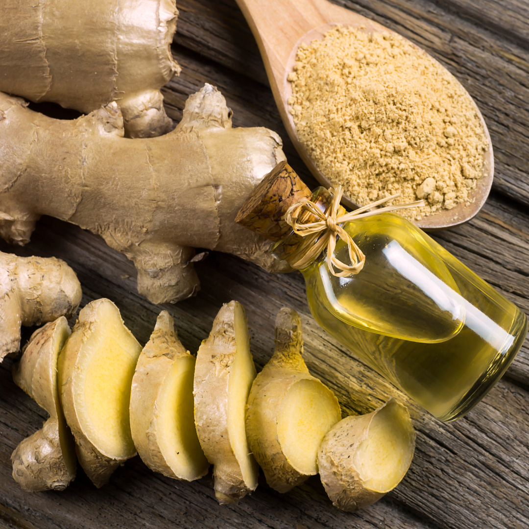 Ginger (Zingiber officinale)