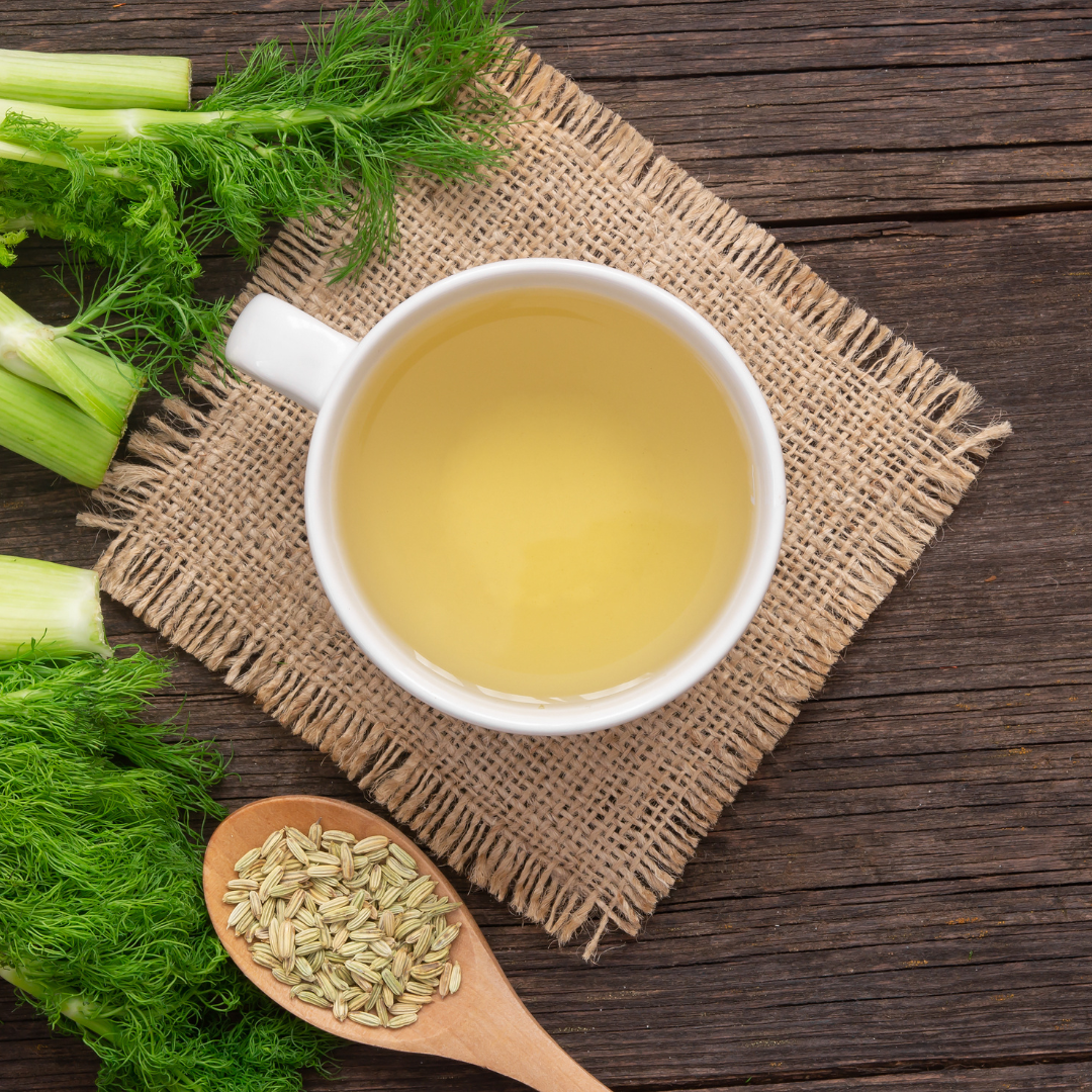 Fennel (Foeniculum vulgare)