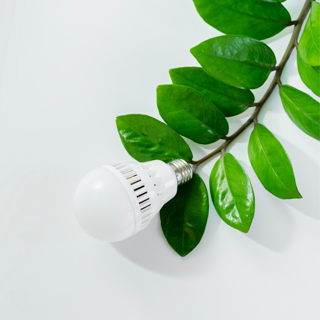 Sustainable Materials And LED Lighting For Sustainable Architecture