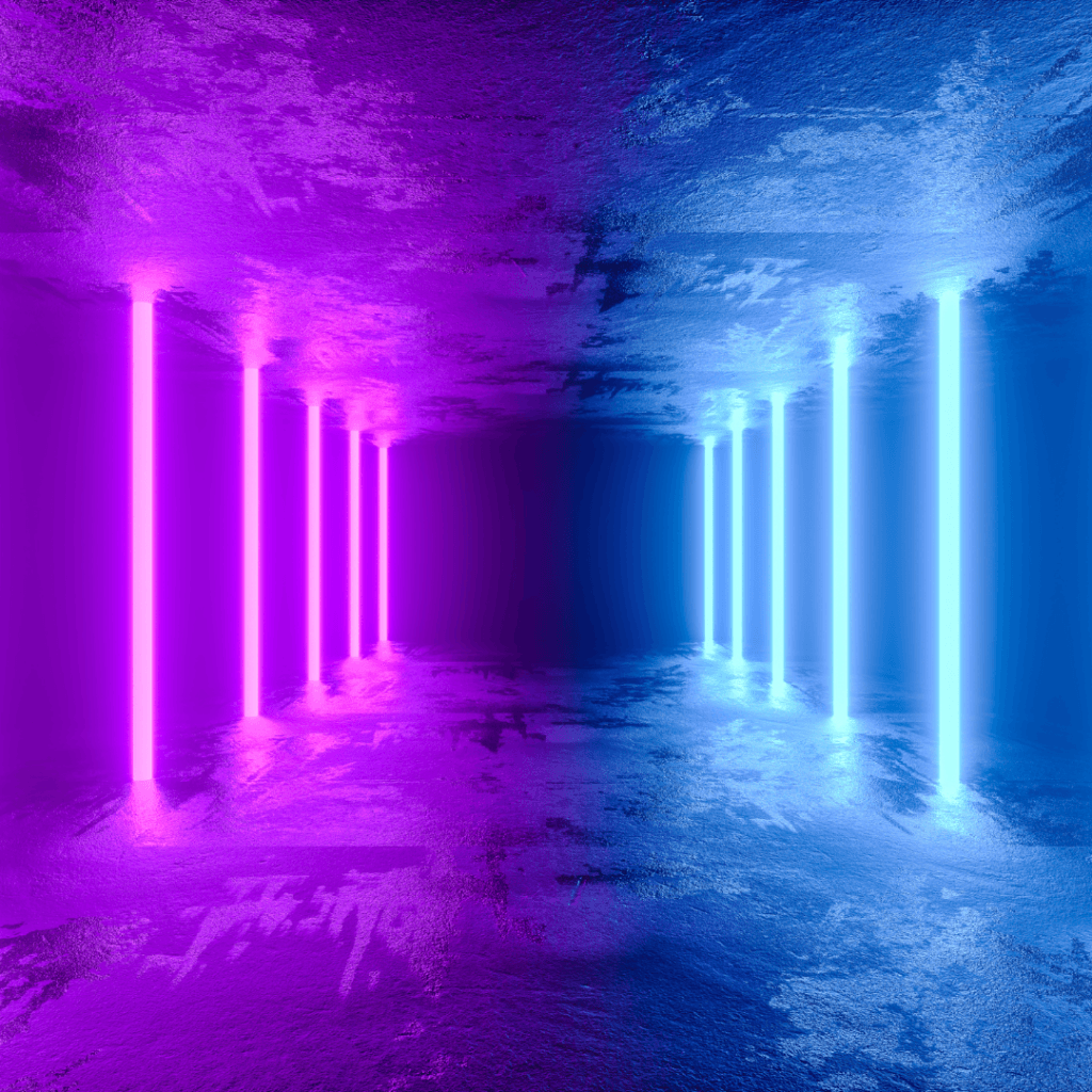 Gallery image with a fresh perspective
