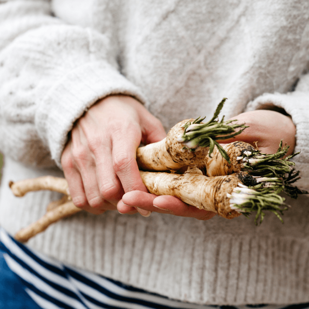A Guide To Growing Horseradish In Containers For 2024