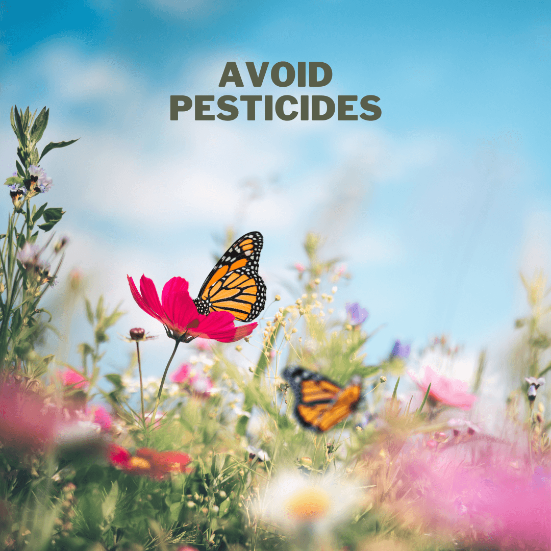 Avoid Pesticides