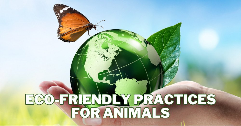Best Eco-Friendly Practices For Animals