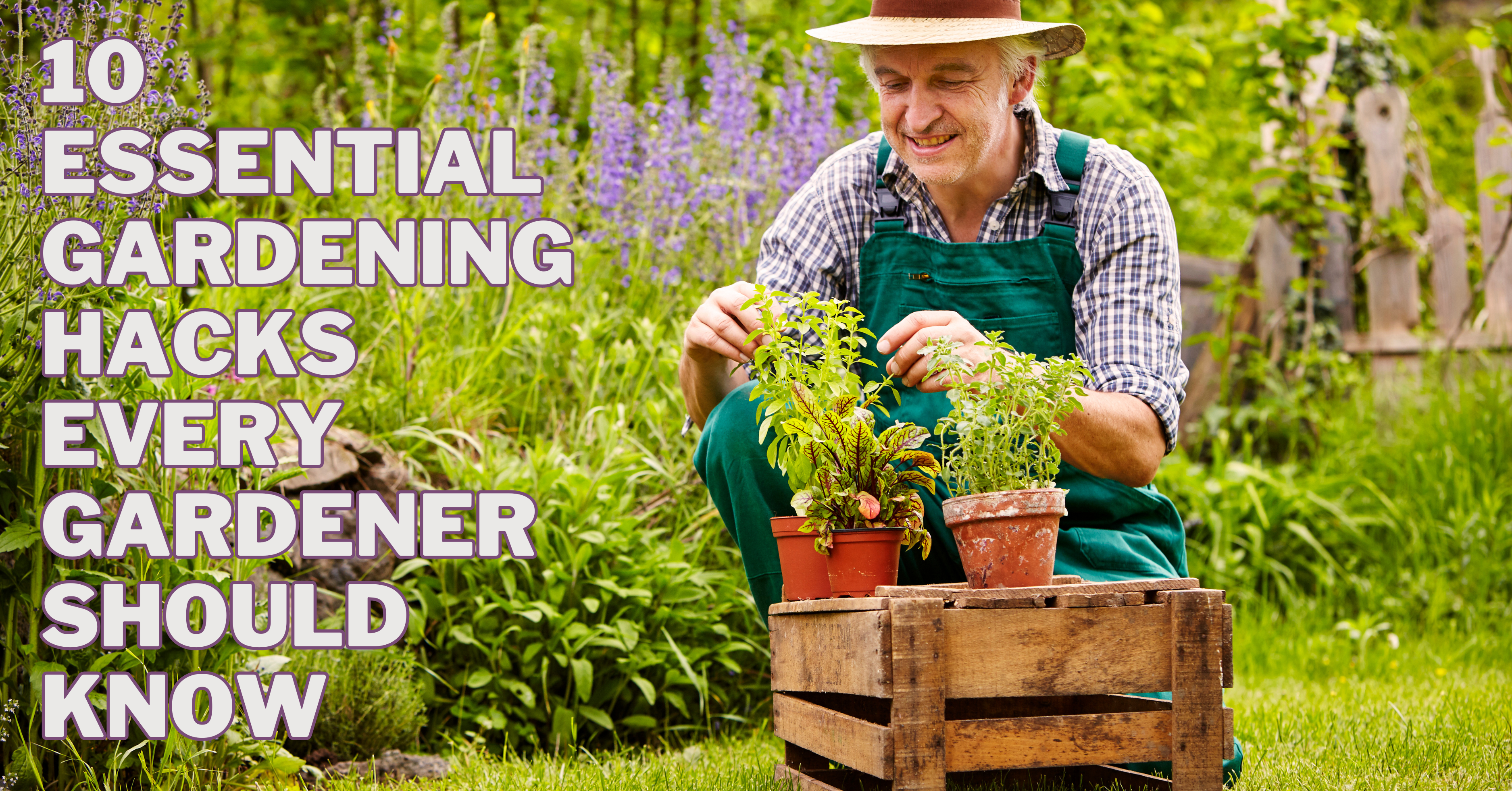 10 Essential Gardening Hacks Every Gardener Should Know