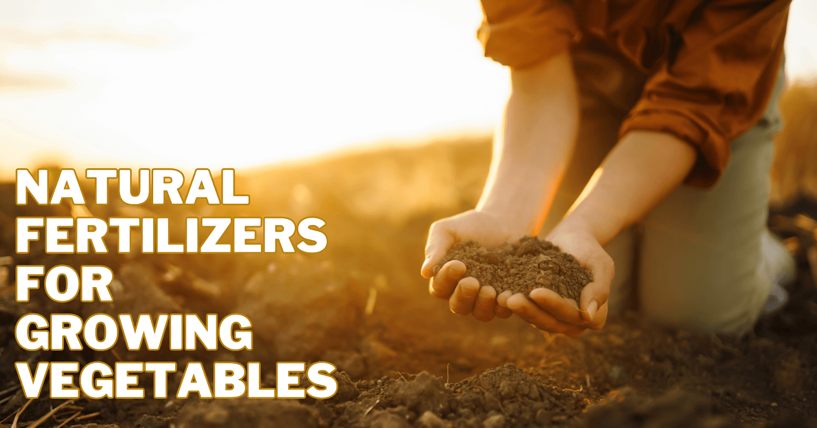 Natural Fertilizers For Growing Vegetables