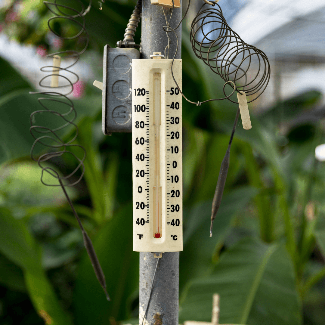 Temperature Considerations