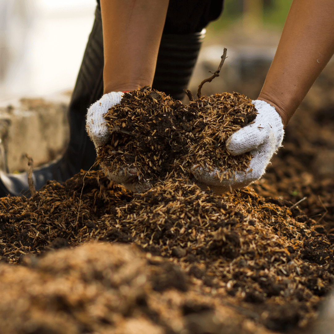 Compost