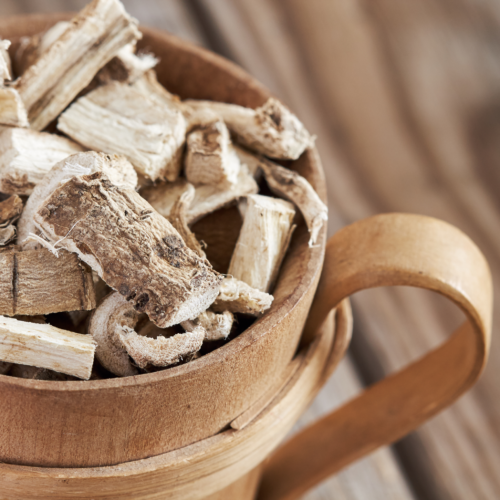 Best Tips To Grow Marshmallow Roots In Containers In 2024