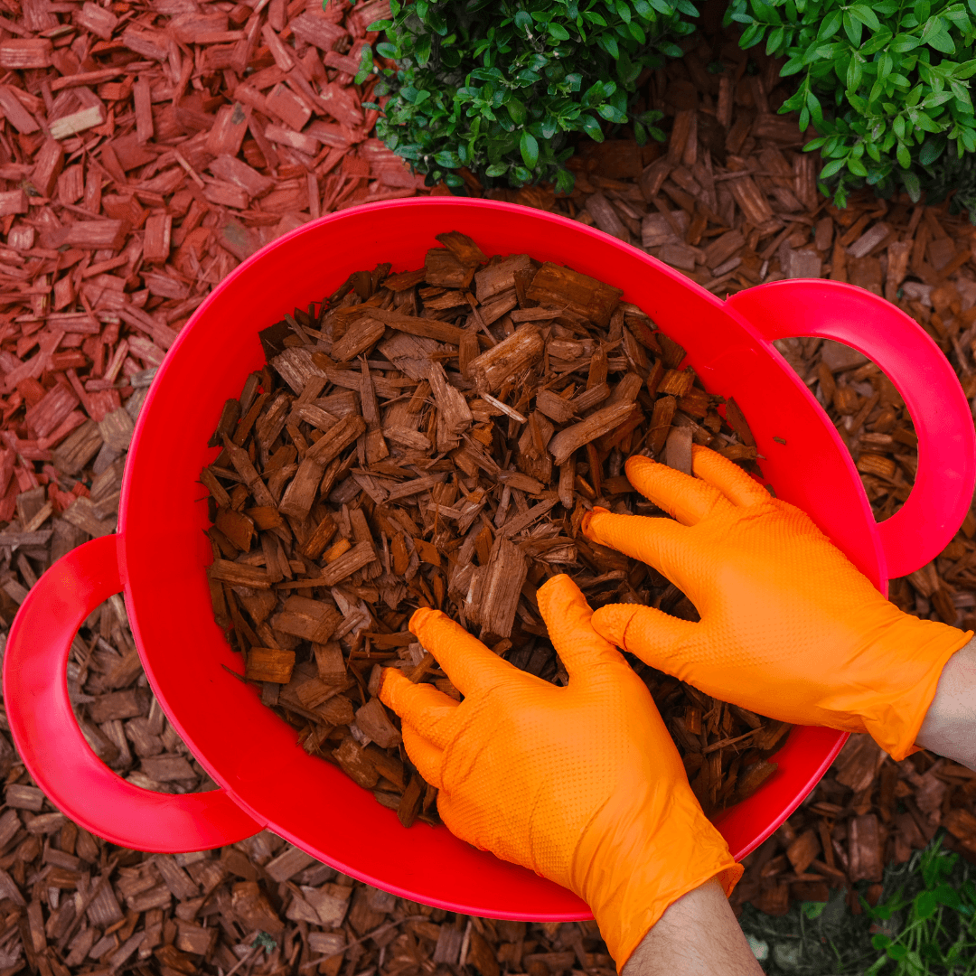 Wood Chips Or Mulch