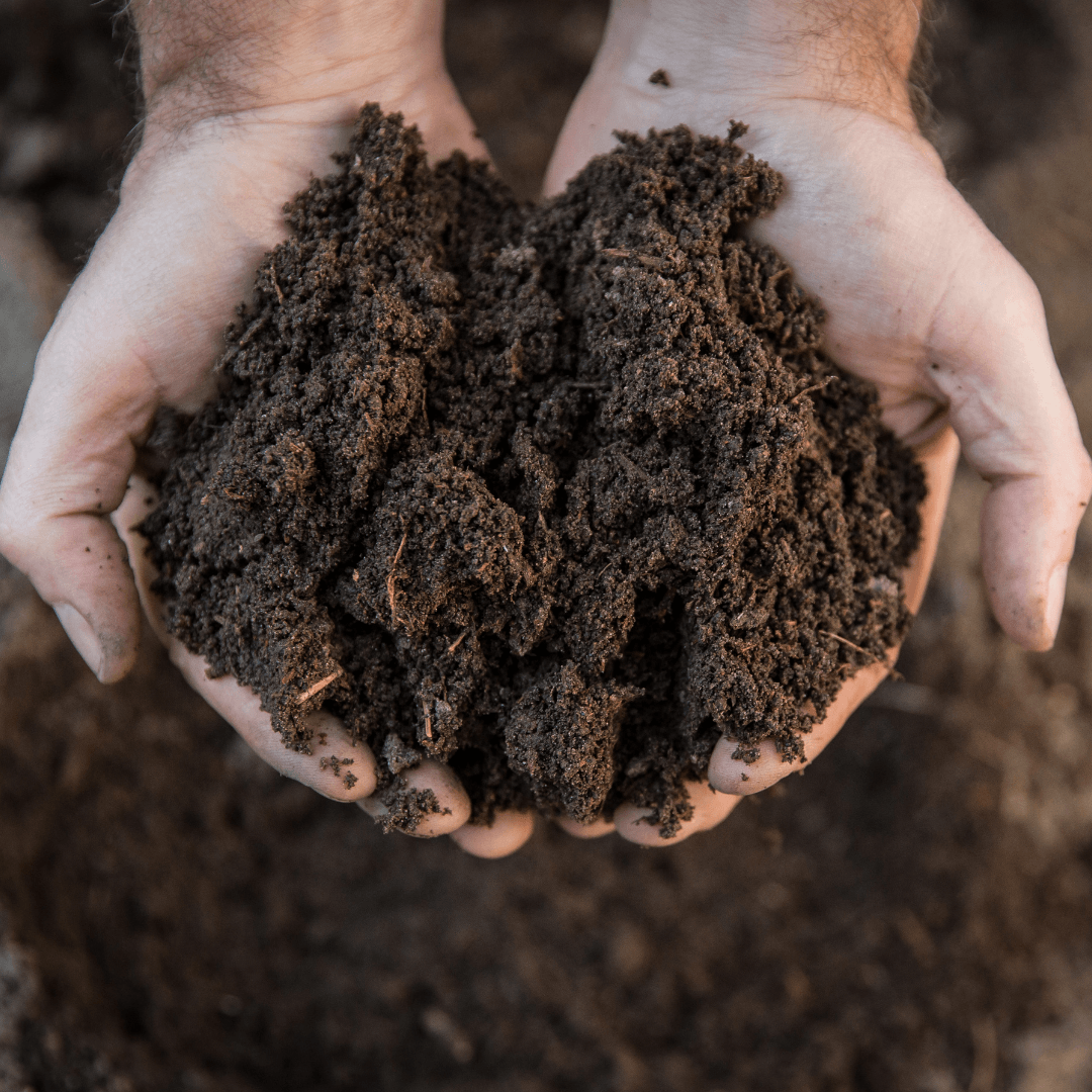 Well-Draining Soil